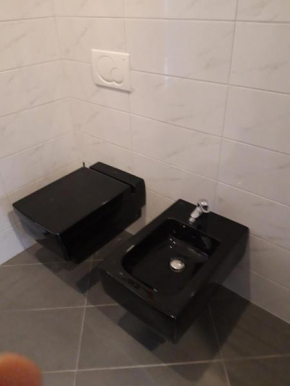 Apartment Lona